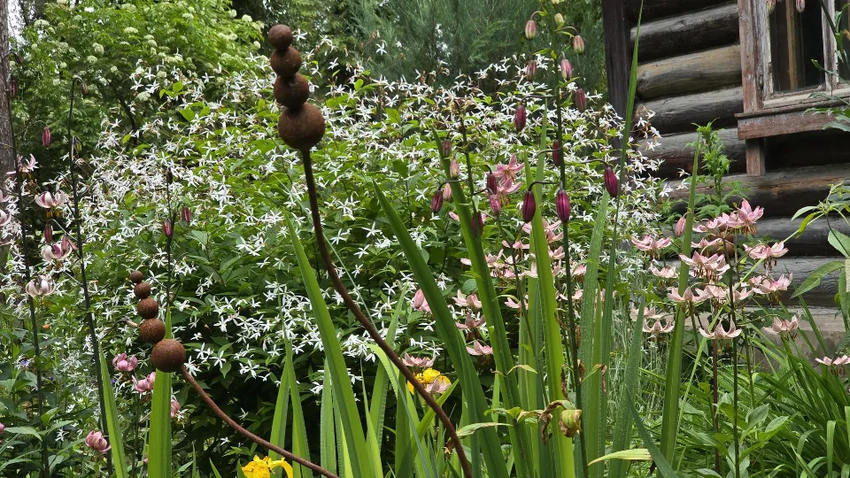 Фото: Марина Анисимова