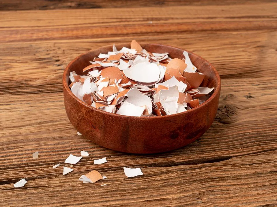 &nbsp; Фото: istockphoto.com