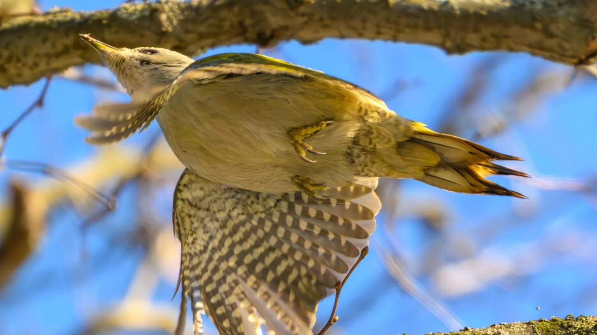 Фото: Виктор Архипенко