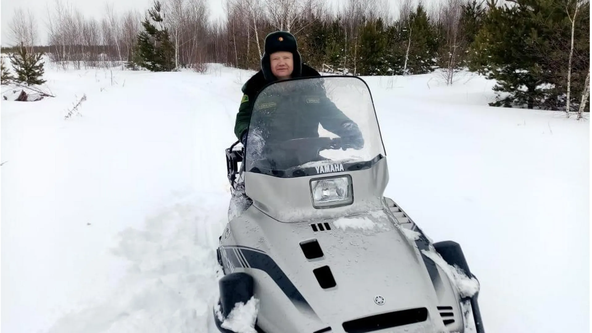 Фото Луховицкого филиала ГКУ МО «Мособллес»