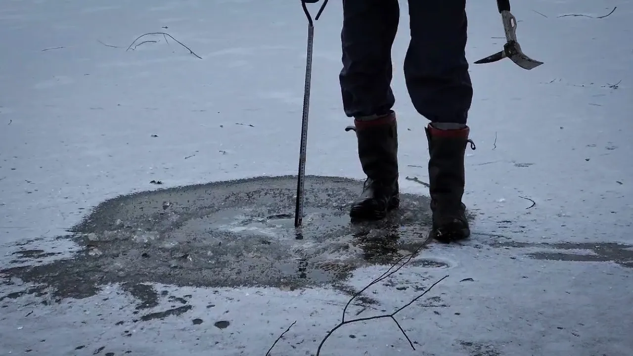 МедиаБанк Подмосковья/Ольга Антонова