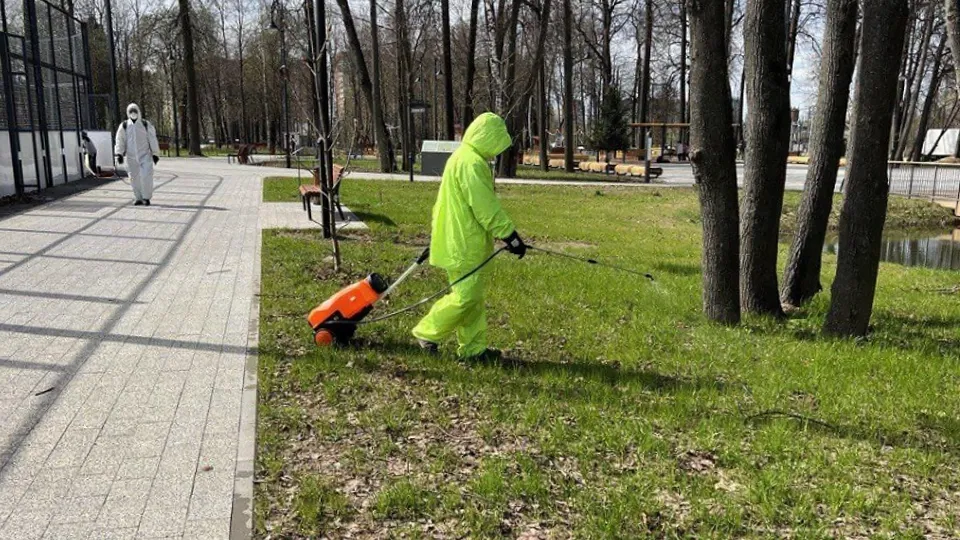 Фото: Министерство благоустройства Московской области