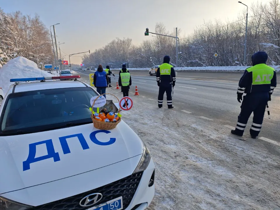 Фото: Госавтоинспекция УМВД России по г. о. Домодедово
