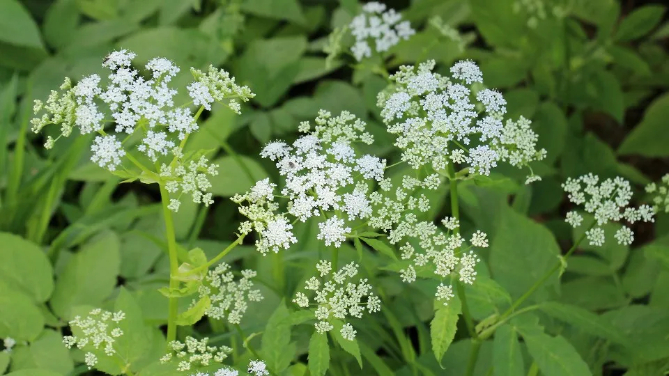 Фото: istockphoto.com