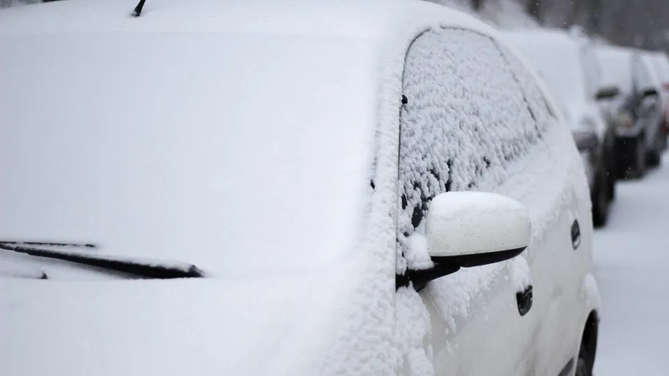 Фото: freepik.com