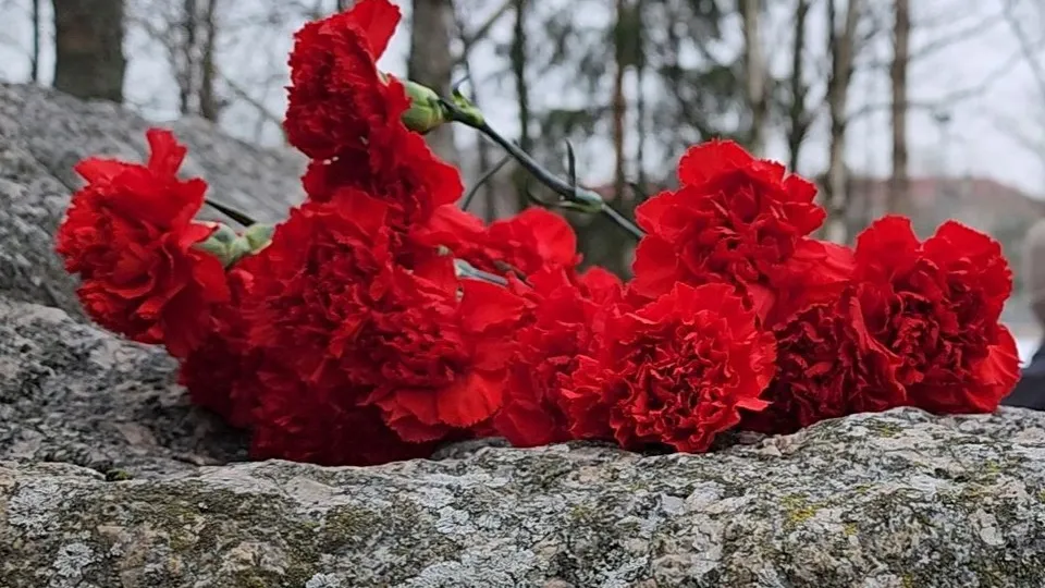 Фото: МедиаБанк Подмосковья/Арина Кузнецова