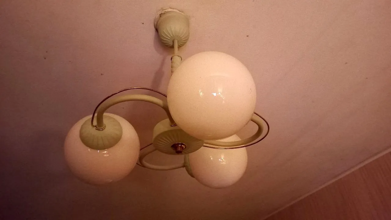 Фото: Олег Книжник