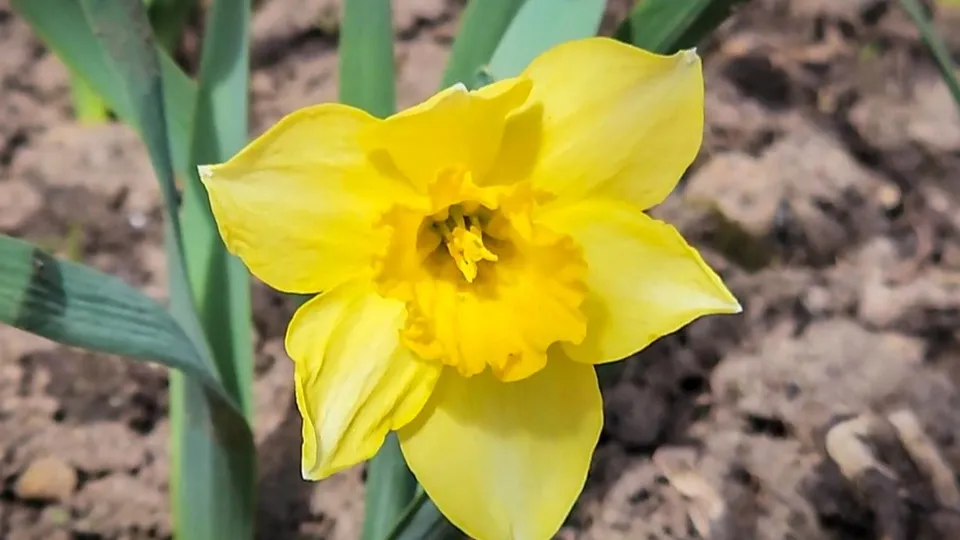 Фото: Ольга Антонова