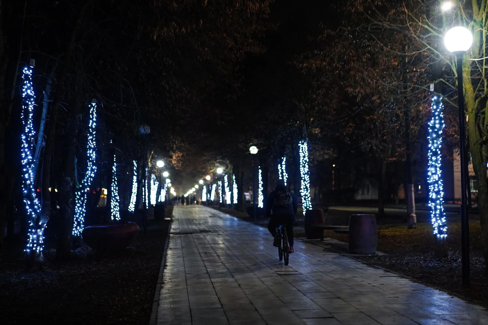 Фото: пресс-служба администрации Шатурского округа