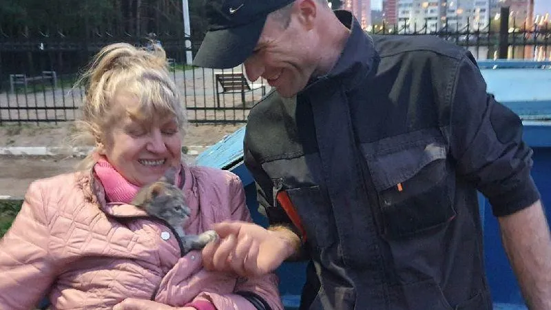 Рабочий из Подольска спас маленького котенка с большой высоты