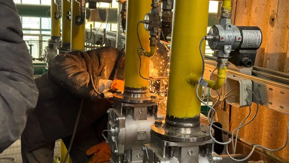 Фото: МедиаБанк Подмосковья/Владимир Думчев