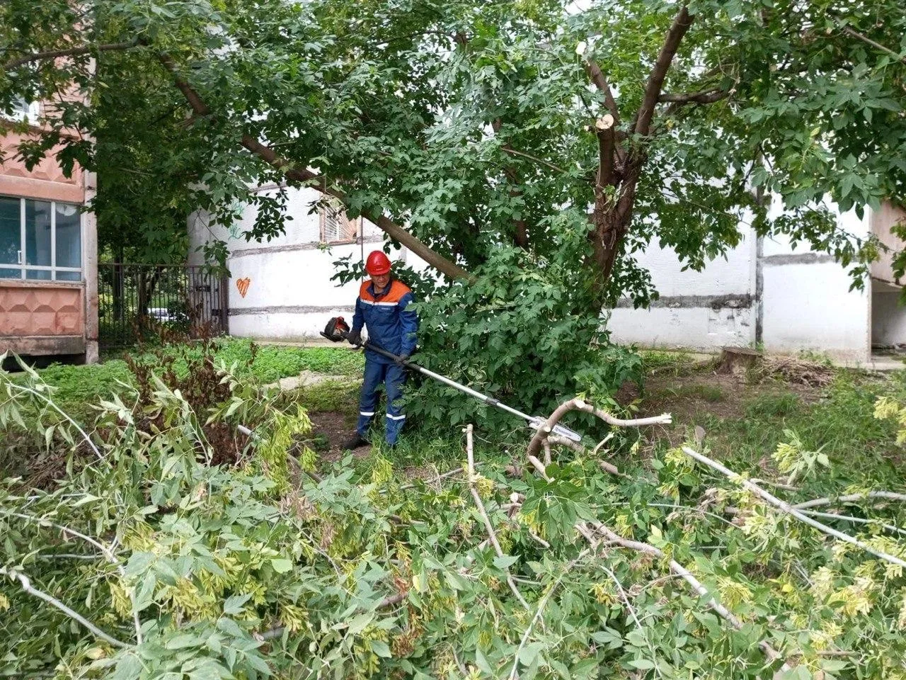 Фото: Мособлэнерго