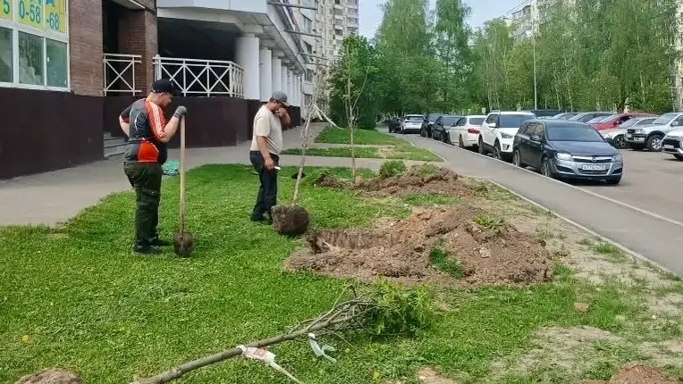 Картинка