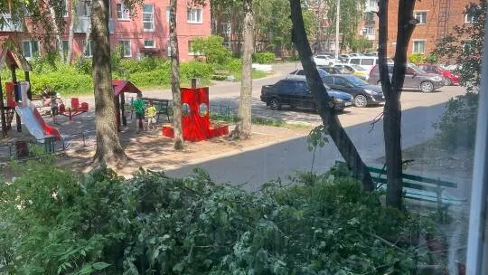 Фото: vk.com/Подслушано Павловский Посад