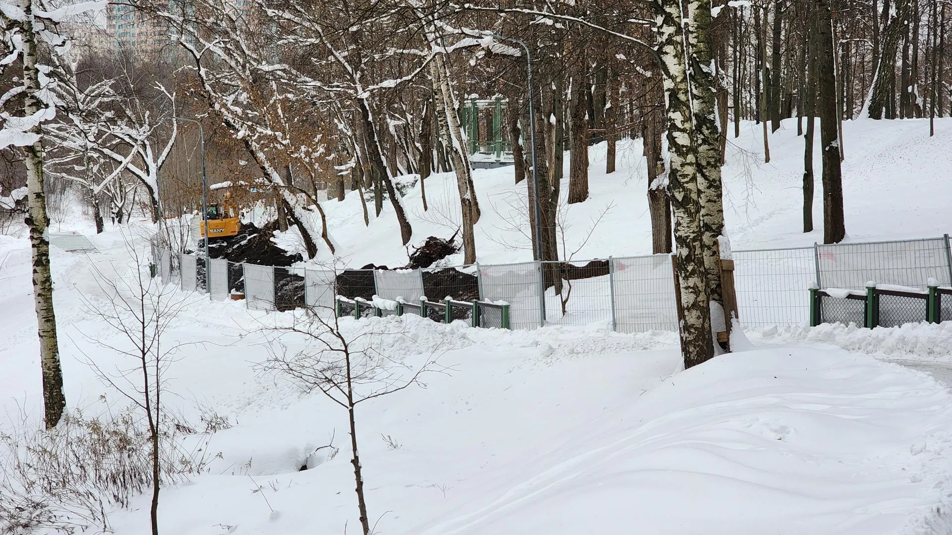 Ирина Моисеева