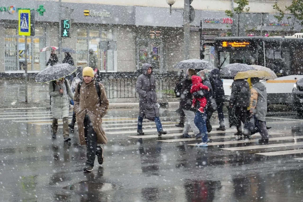 Дмитрий Зайчиков