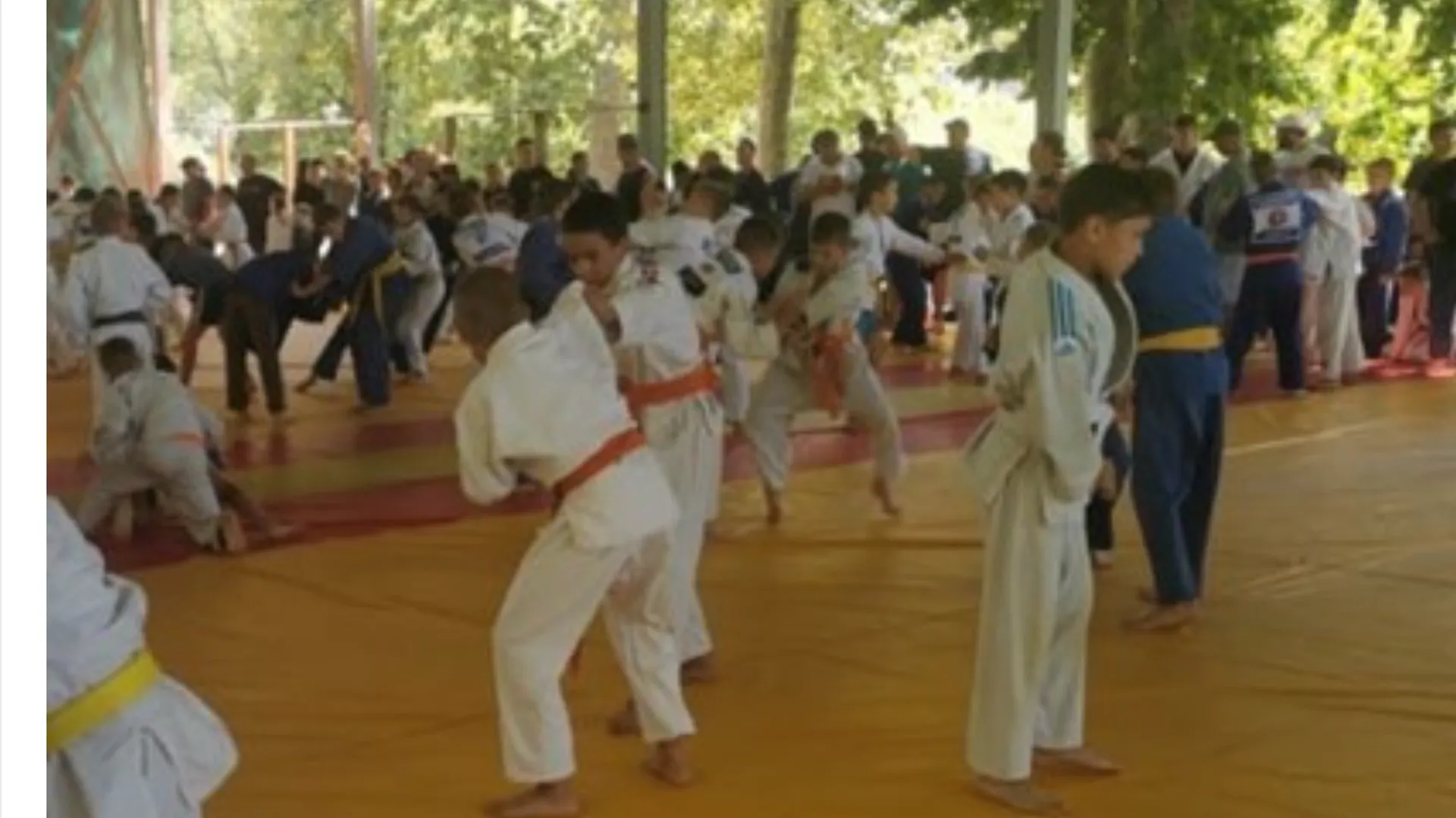 Фото: пресс-служба администрации г.о. Кашира