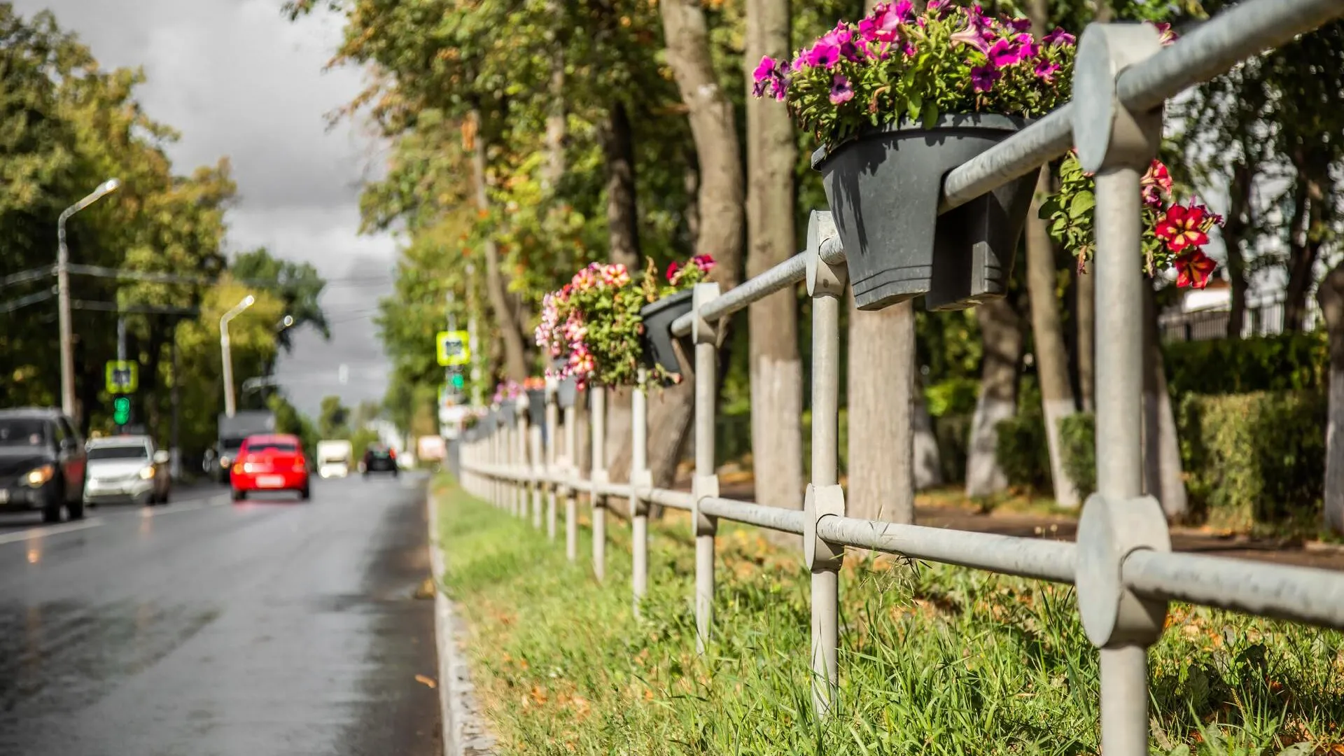 Фото: Минтранс МО