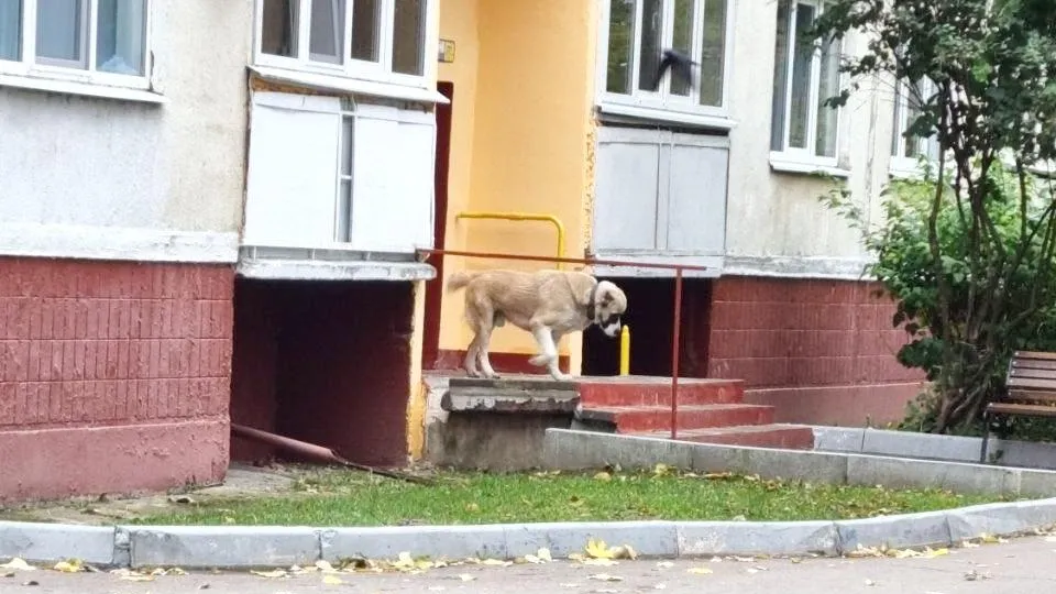 Социальные сети