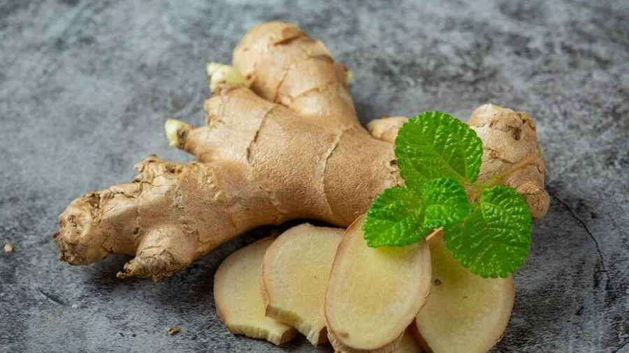 медиасток.рф