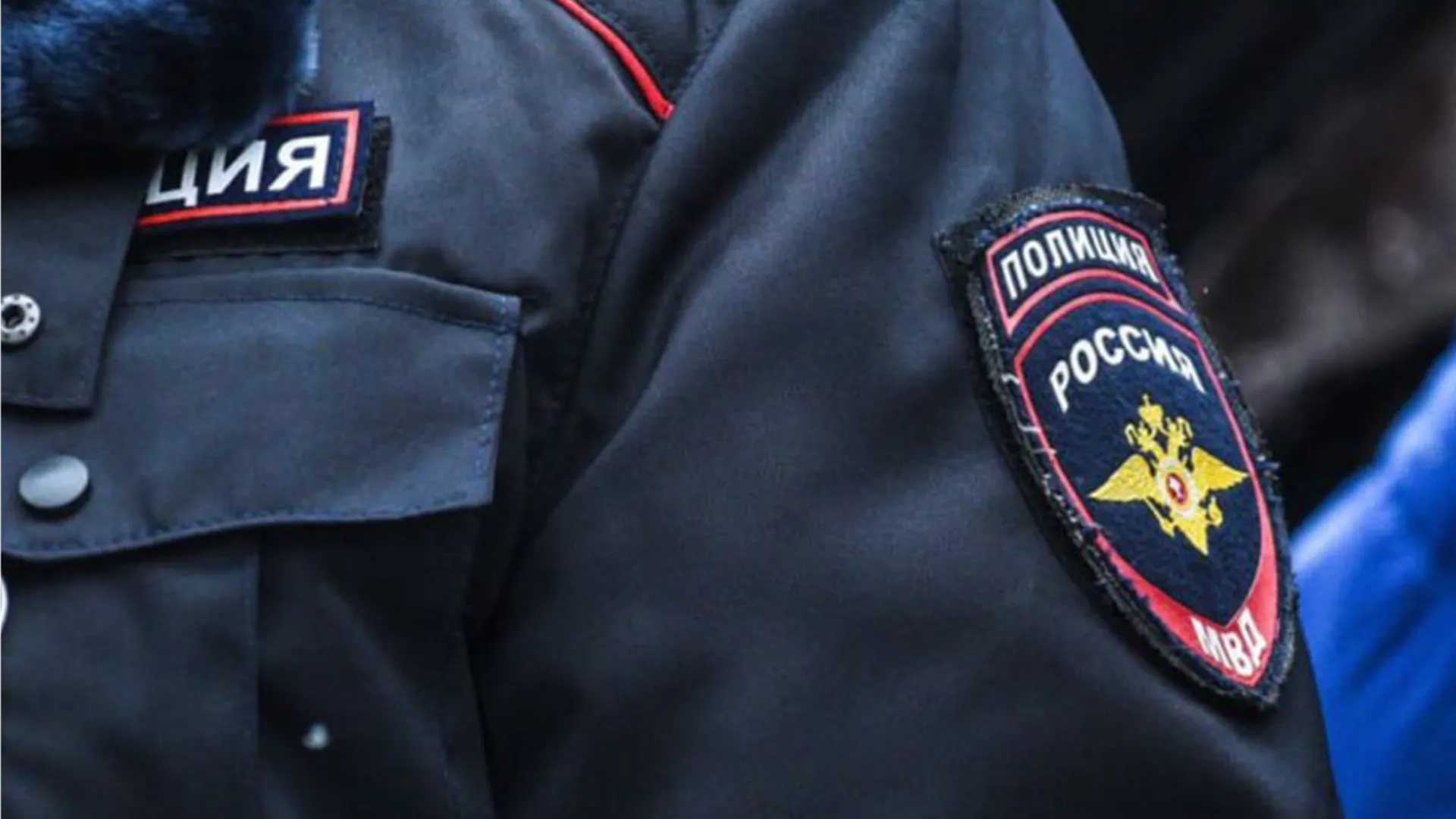 Фото: медиасток.рф