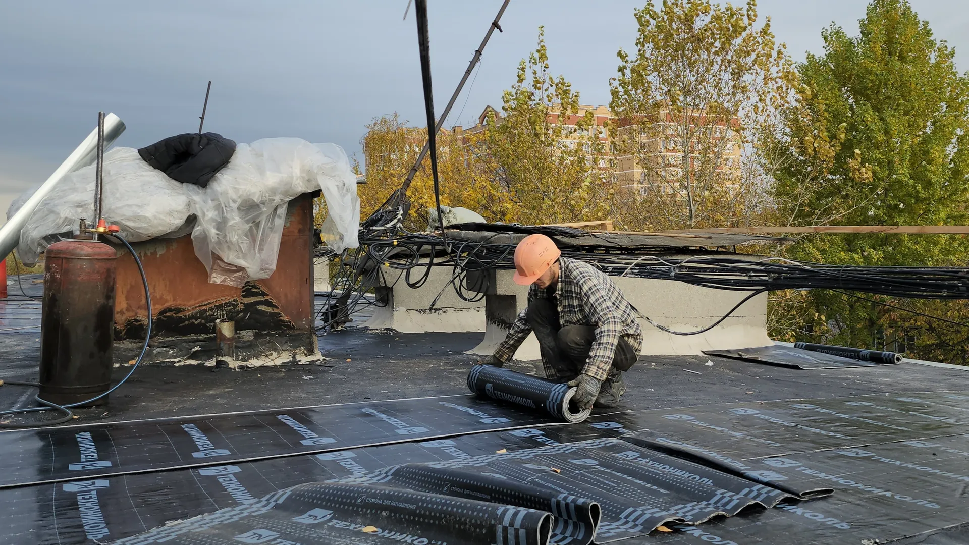 Фото: медиасток.рф