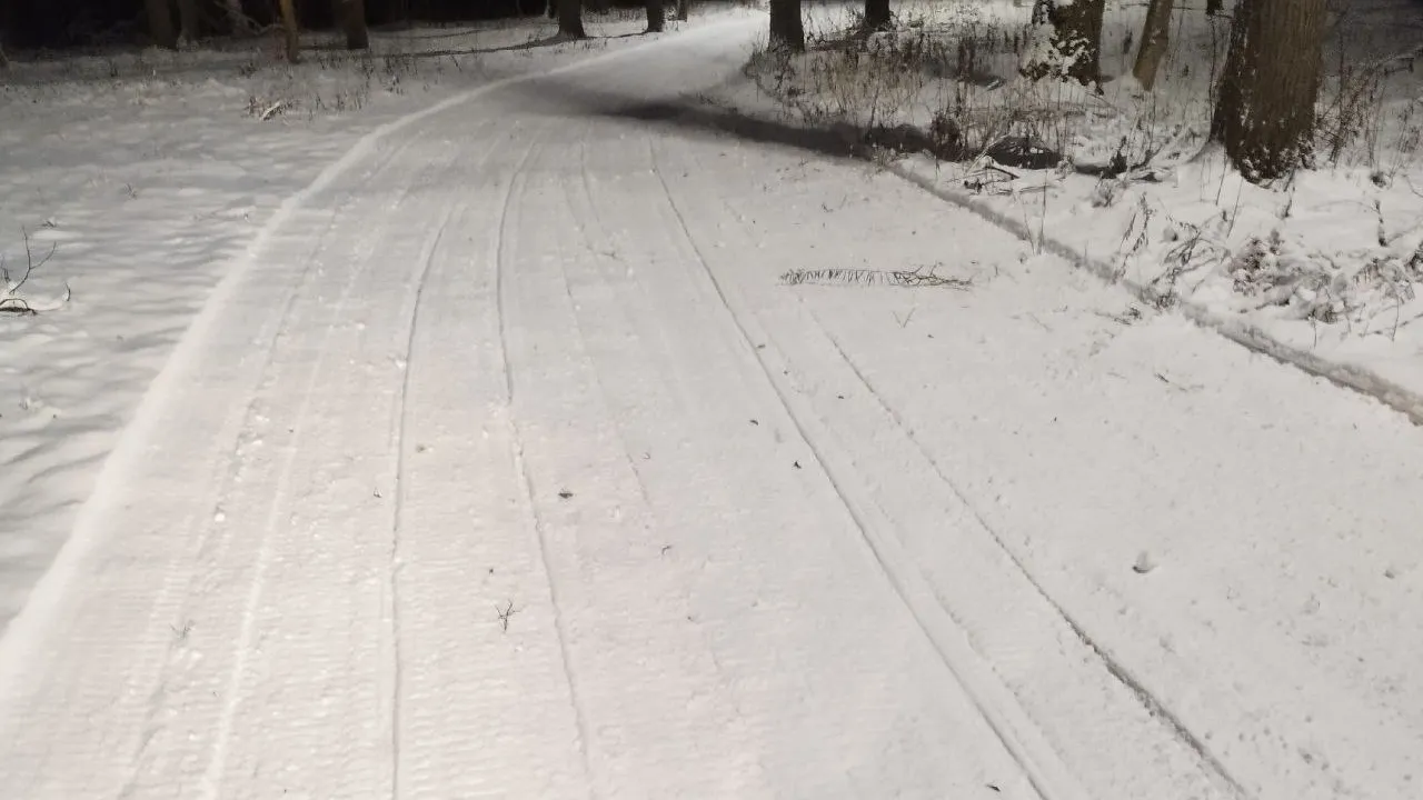 Фото: секция лыжных гонок и полиатлона Каширы