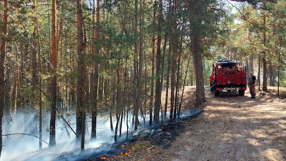 Фото: t.me/mosoblcomles