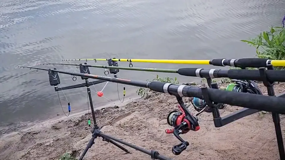 Фото: МедиаБанк Подмосковья/Ольга Антонова