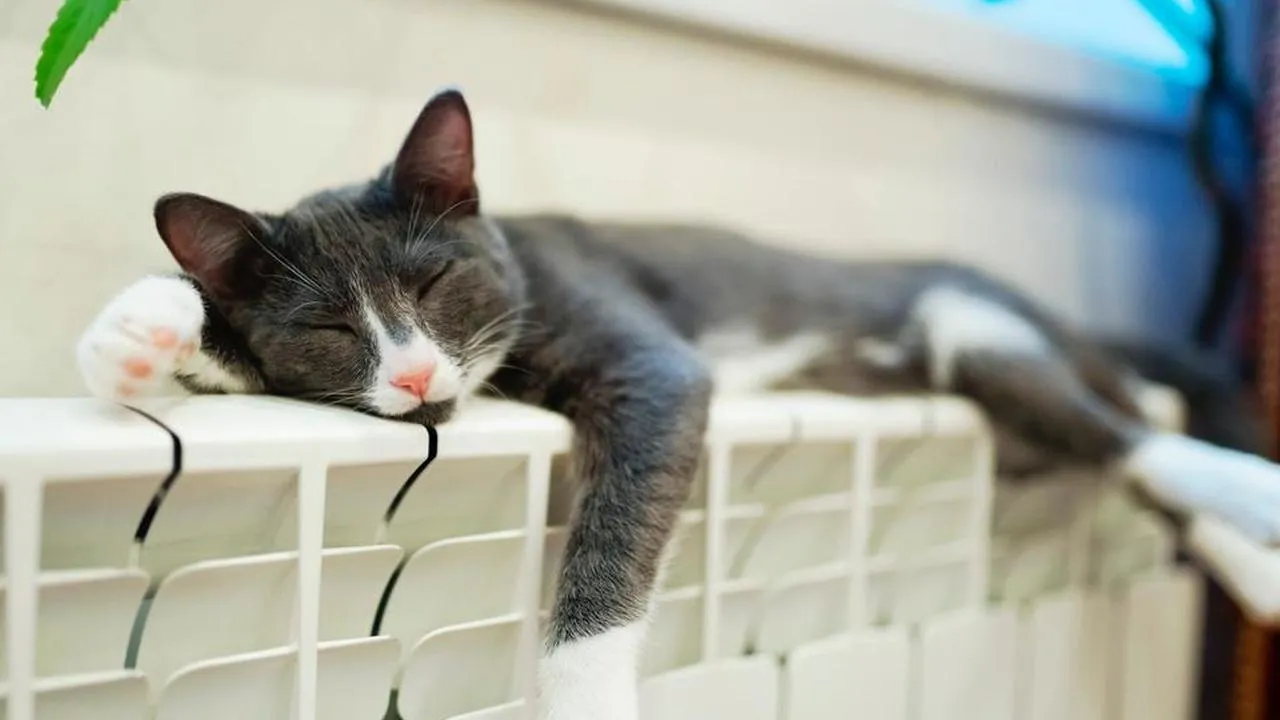 «Издеваются над нами»: тепло приходит в квартиры Омска реже, чем коммунальные обещания