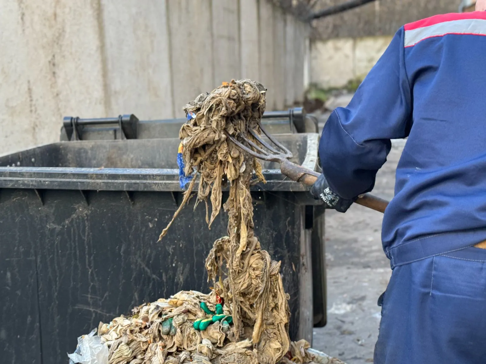 Фото: МедиаБанк Подмосковья/Полина Абраменко