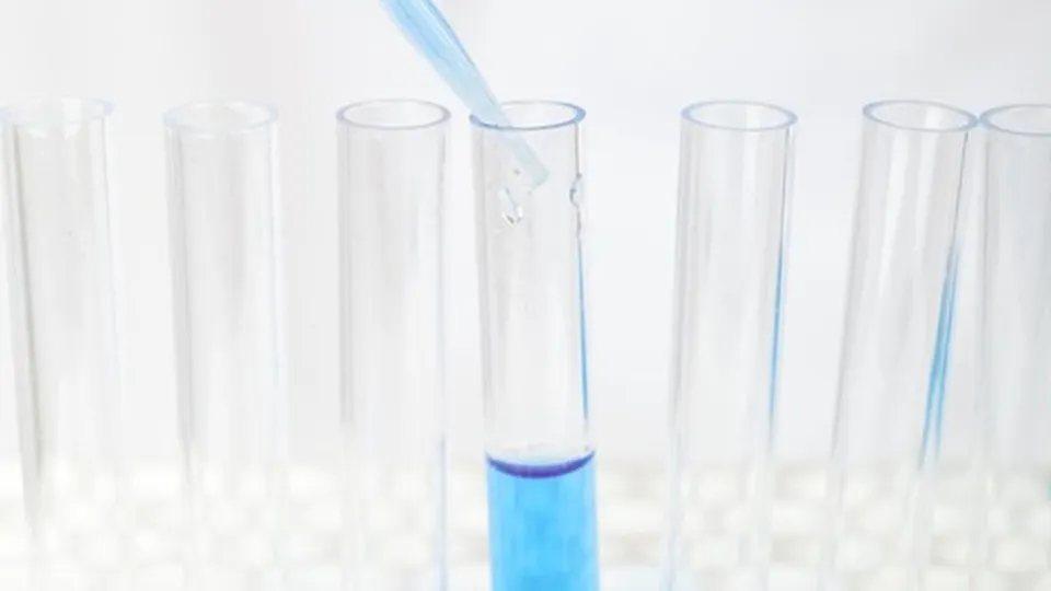 Фото: pxhere.com