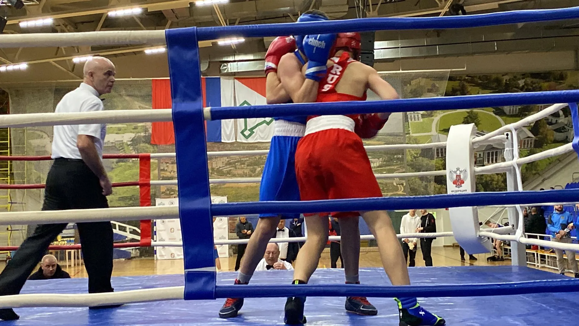 Дарья Шапочкина