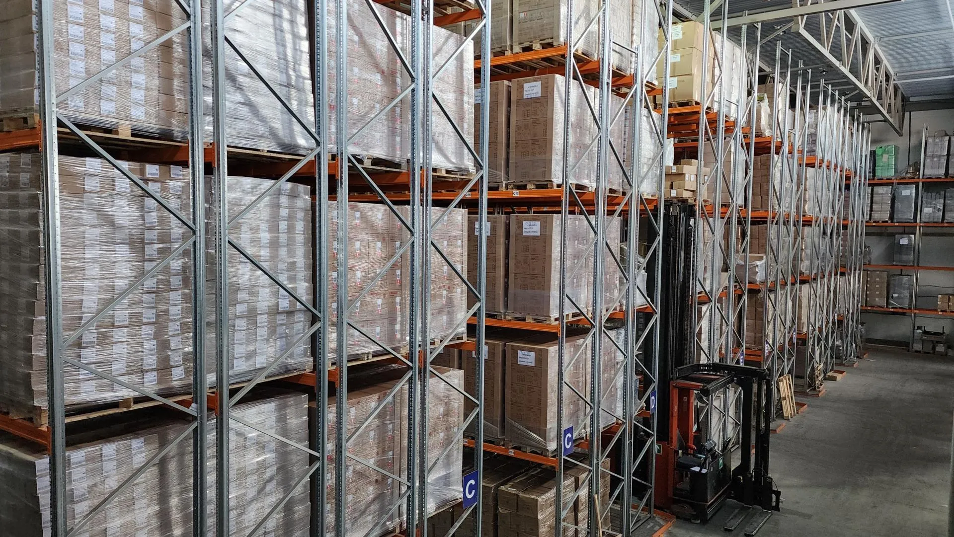 REGIONS/Валерия Тингаева