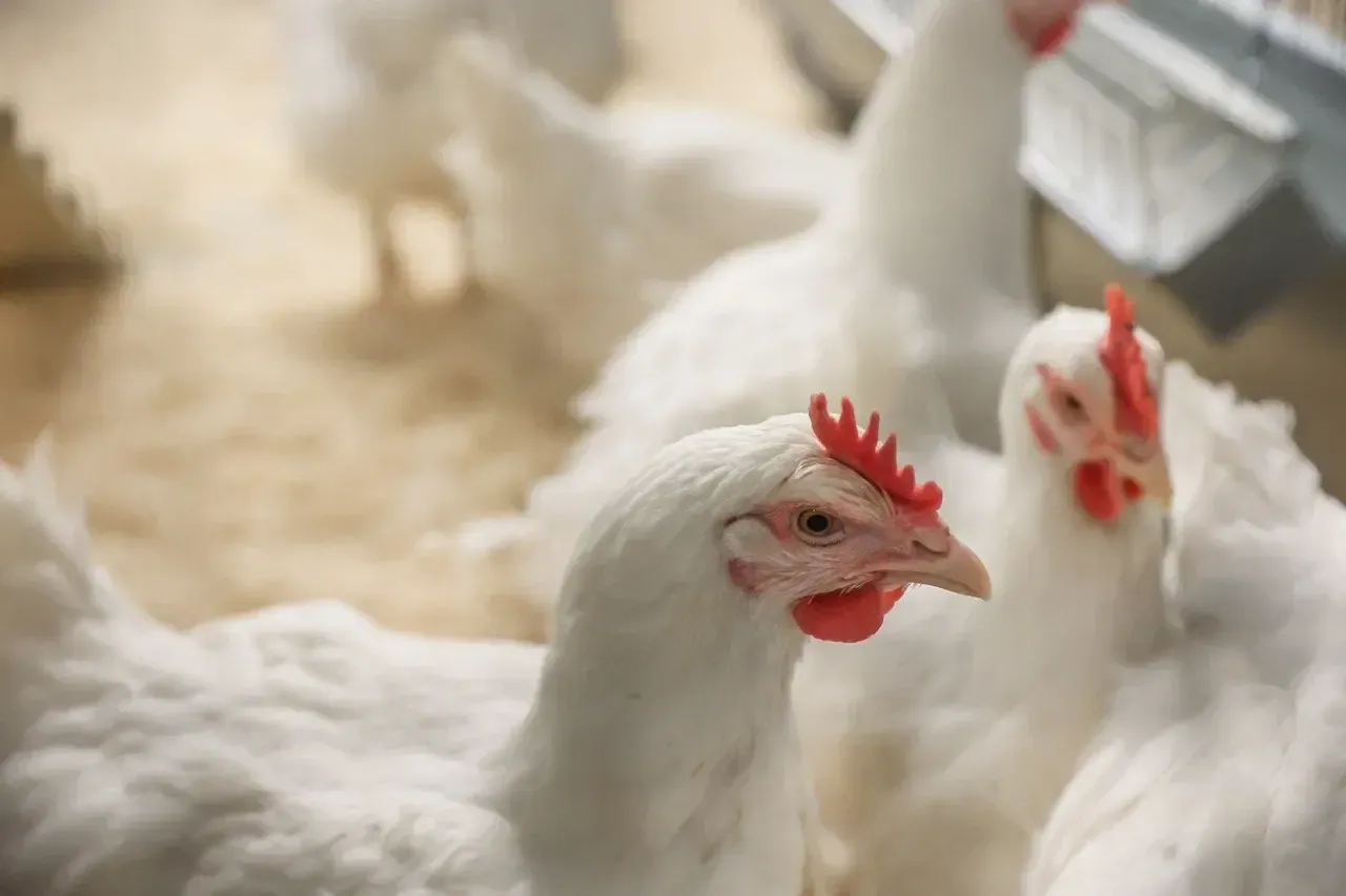 Фото: пресс-служба губернатора Московской области