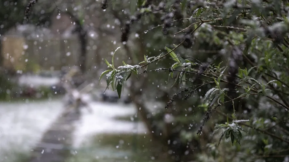 Фото: freepik.com