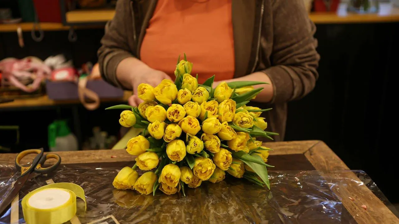 REGIONS/Роман Малышенко