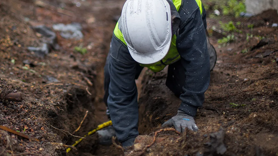 Фото: pxhere.com