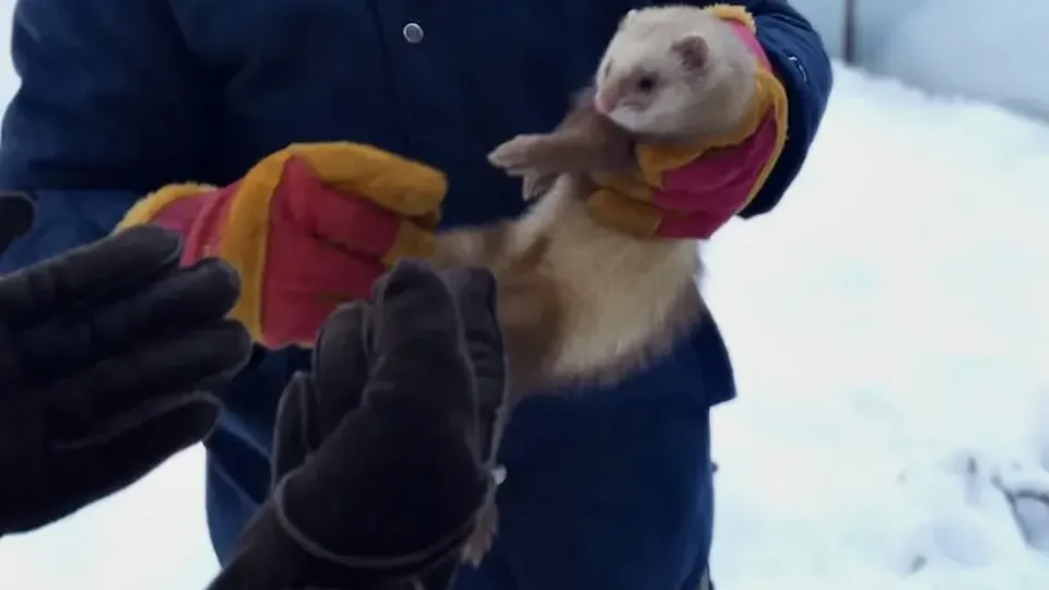 Фото: Образовательное объединение «Путь открытий»