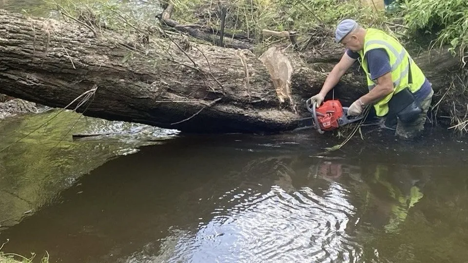 Фото: пресс-служба администрации м.о. Истра