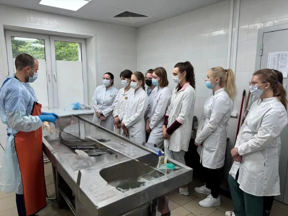 Фото: Электростальская больница