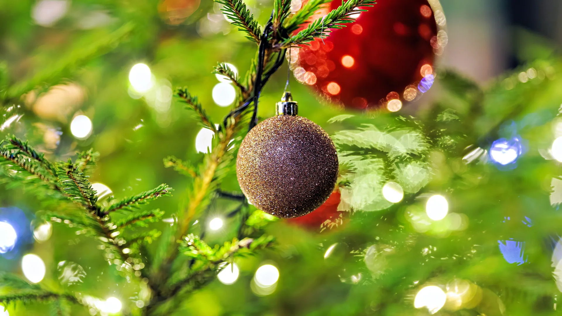 Шары на елке в новогоднем парке «Раздолье» в Одинцово