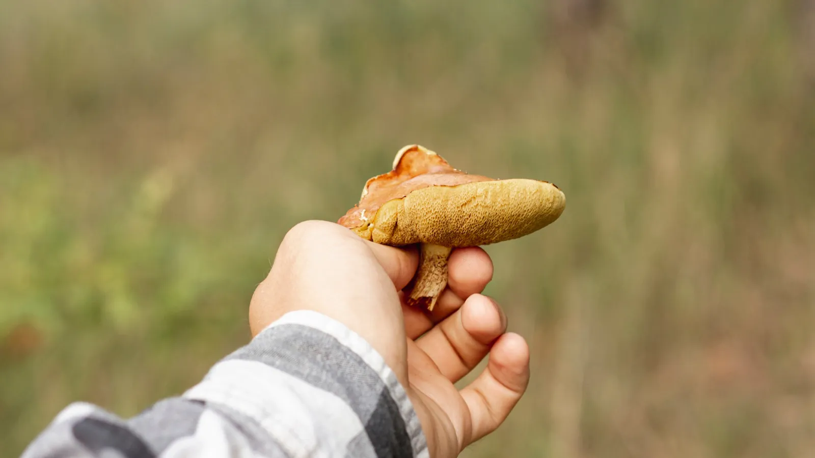 Фото: freepik.com