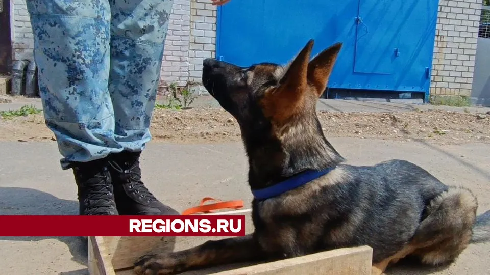 Фото: REGIONS/Екатерина Дятловская