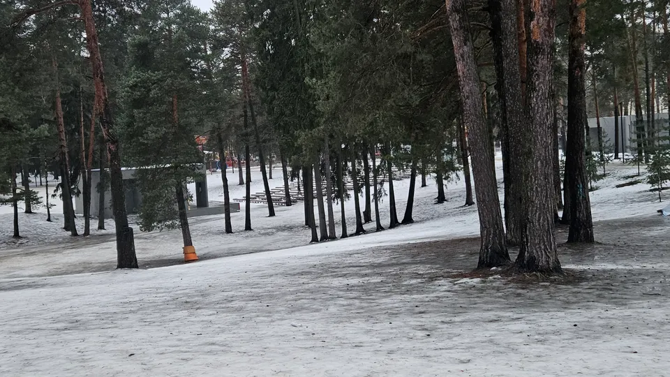 Фото: Ольга Вельшикаева