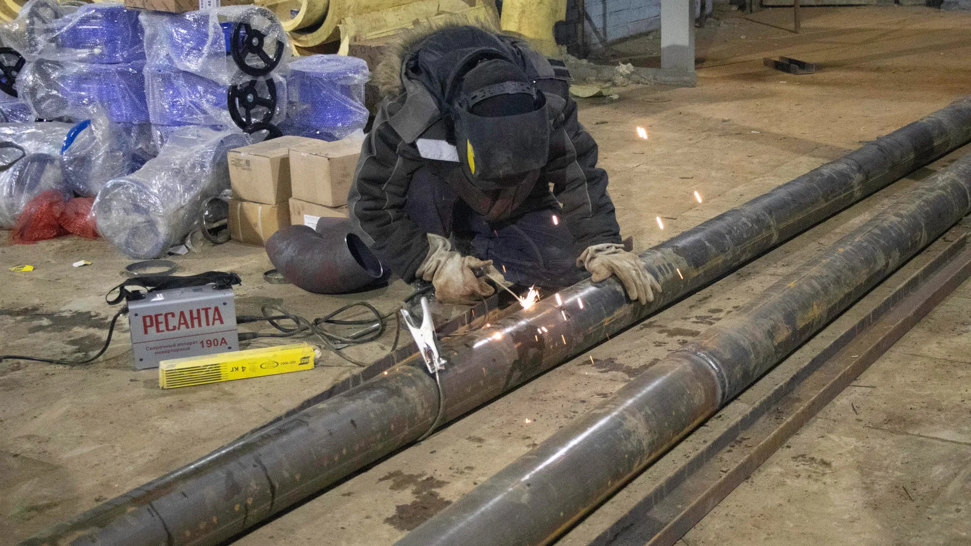 Фото: Александр Морозов