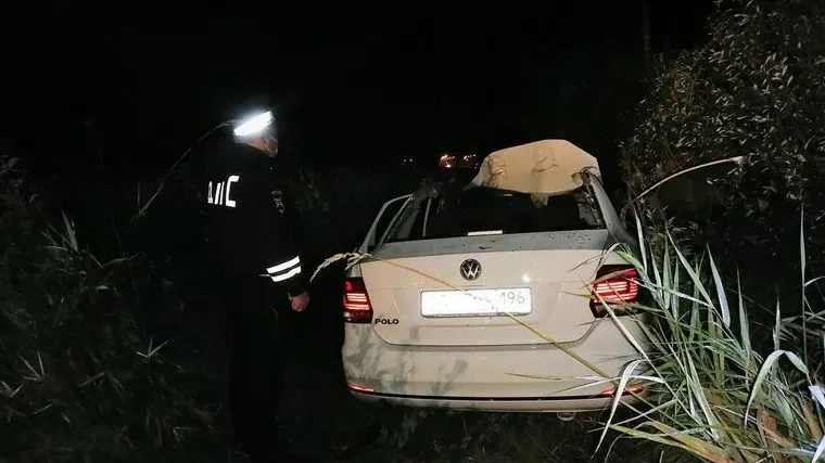 Лось стал причиной гибели автомобилиста на трассе Екатеринбург-Пермь