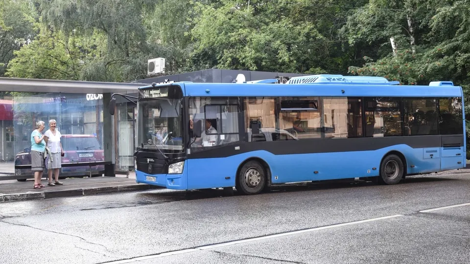 Фото: пресс-служба администрации г.о. Химки