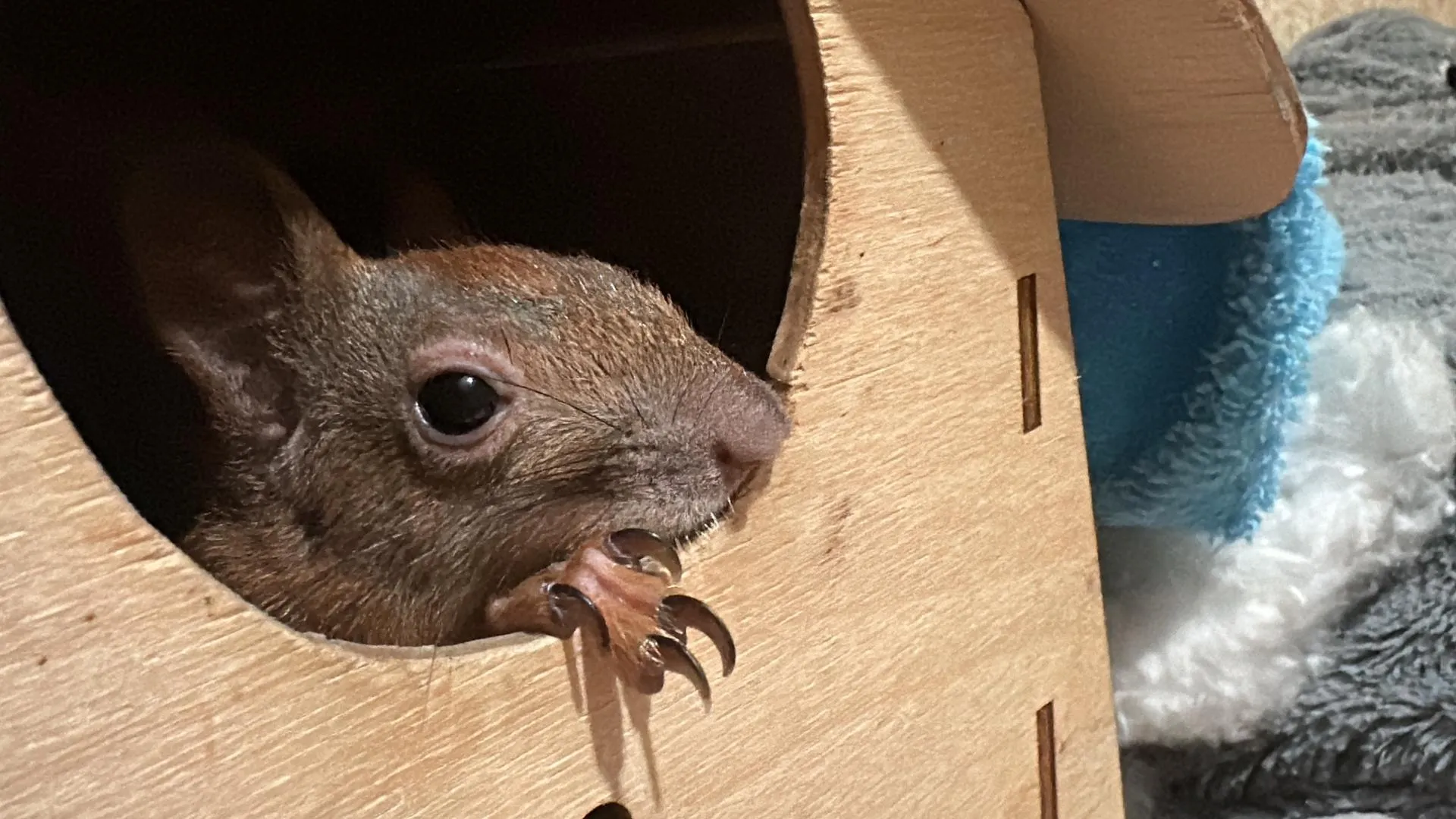 Фото: Мария Шматкова