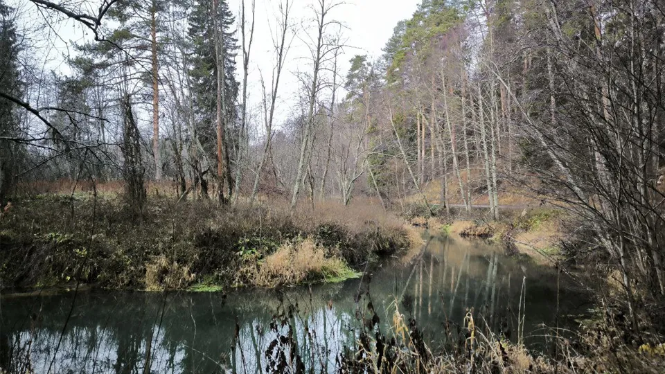 Фото: REGIONS/Роман Малышенко